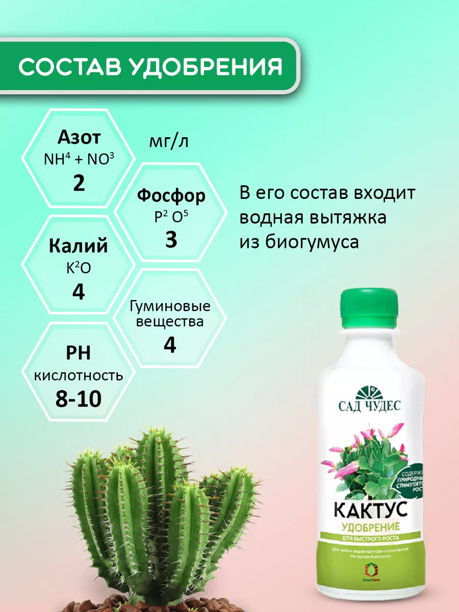 Грунт для суккулентов и кактусов