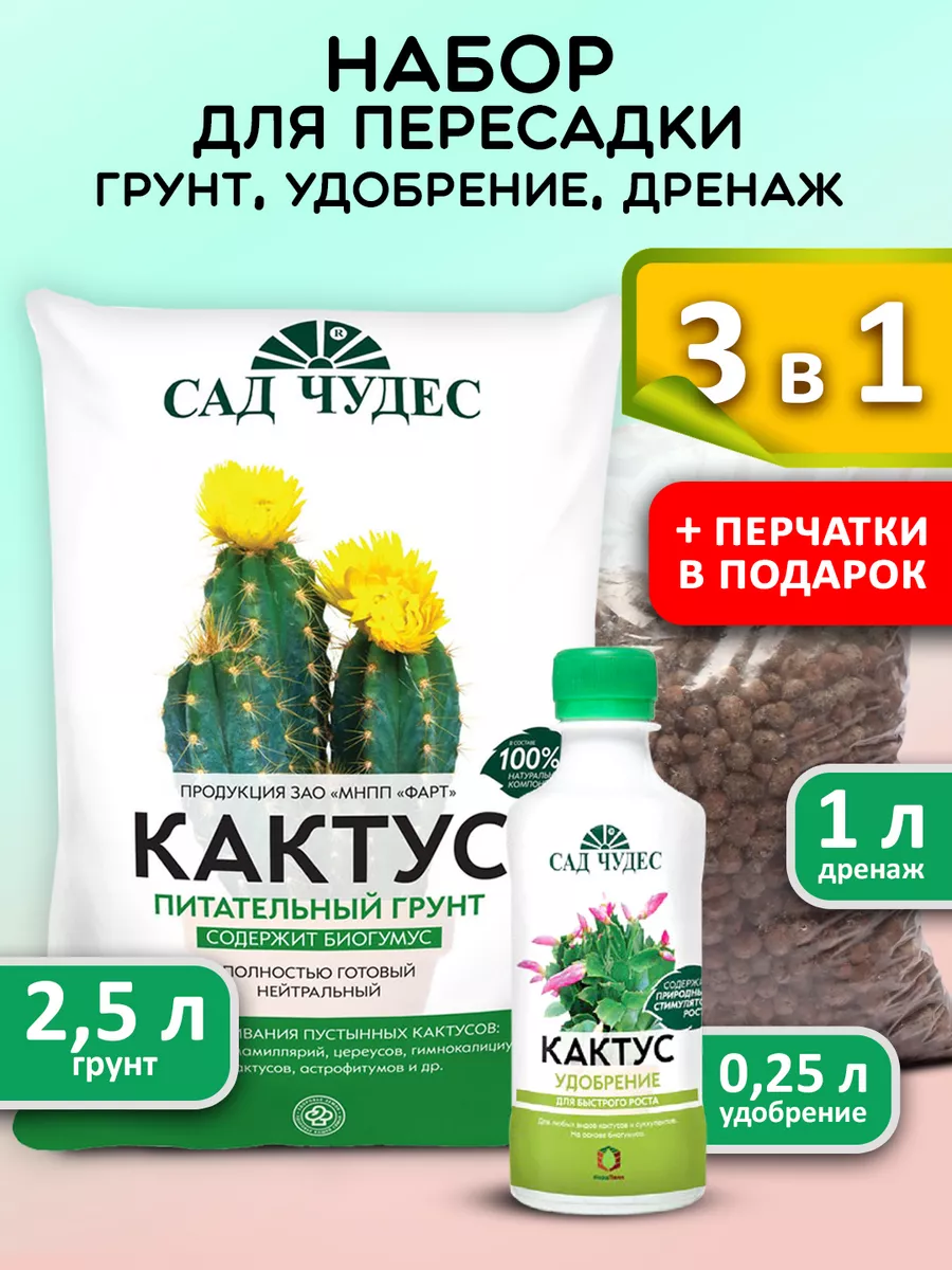 Грунт для суккулентов и кактусов